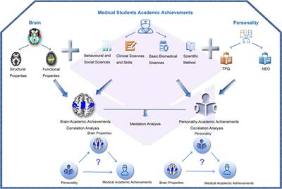 Personality and brain contribute to academic achievements of medical students